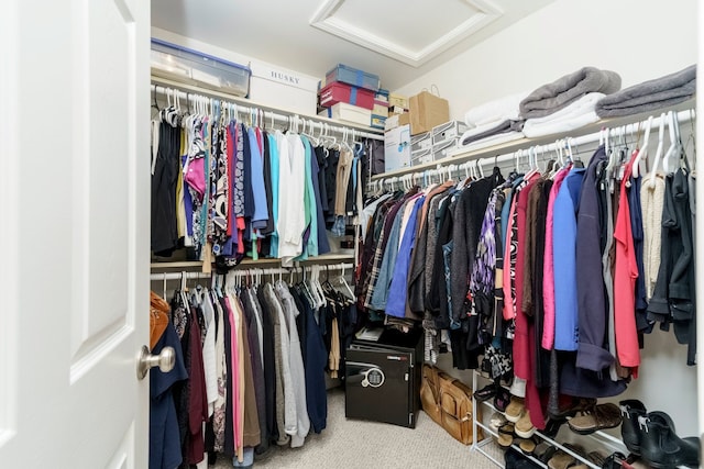 walk in closet with attic access and carpet flooring