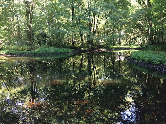 55535 Woody Ln, South Lyon, MI 48178 - view of wooded area with a water view