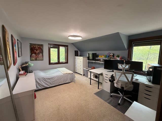55535 Woody Ln, South Lyon, MI 48178 - bedroom featuring light carpet, an office area, and vaulted ceiling