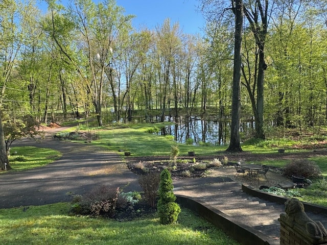 55535 Woody Ln, South Lyon, MI 48178 - view of community featuring a water view and a lawn