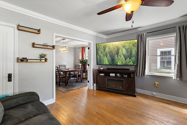 living area featuring baseboards, light wood-style flooring, crown molding, and ceiling fan