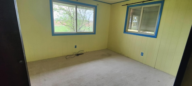 carpeted empty room featuring plenty of natural light