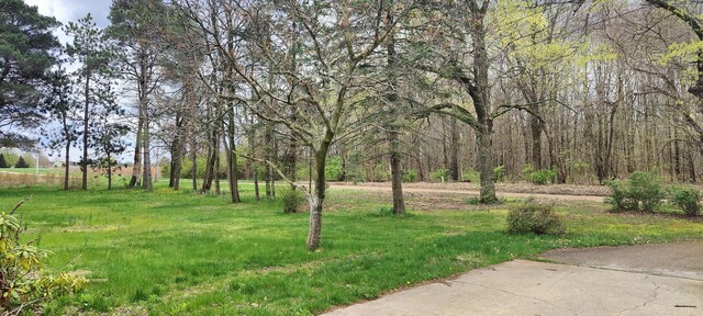 2059 Lynch Rd, Benton Harbor, MI 49022 - photo 13