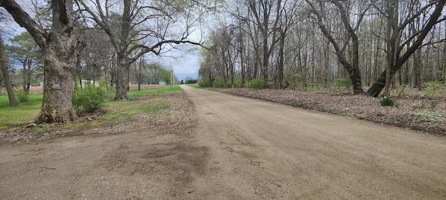 2059 Lynch Rd, Benton Harbor, MI 49022 - photo 4
