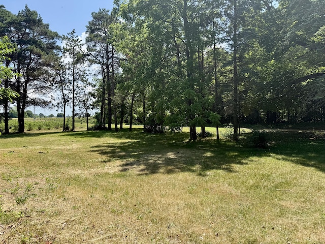 2059 Lynch Rd, Benton Harbor, MI 49022 - photo 3