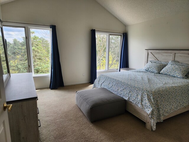 bedroom featuring multiple windows, carpet, vaulted ceiling, and a textured ceiling