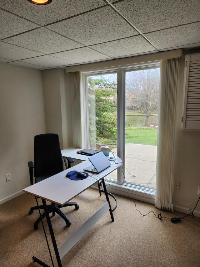office with carpet, a drop ceiling, and a wealth of natural light