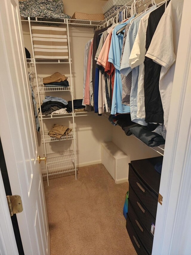 walk in closet with carpet floors