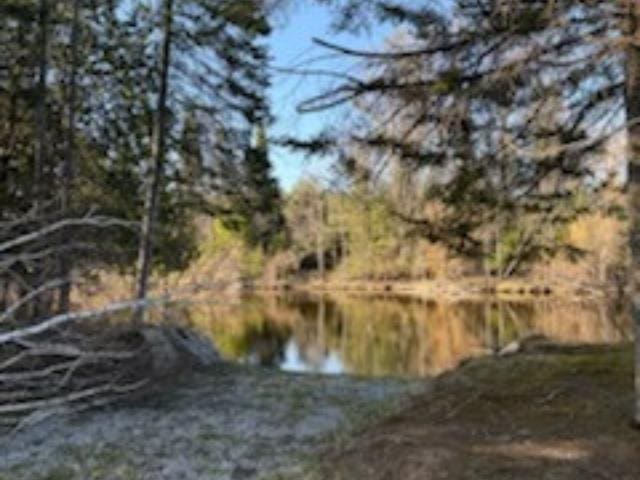 8100 Simmons Rd, Alpena, MI 49707