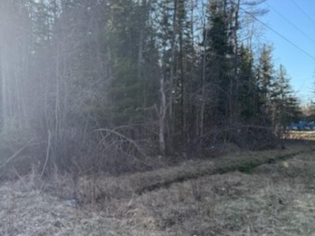 8100 Simmons Rd, Alpena, MI 49707