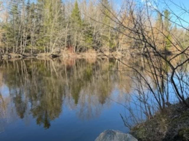 8100 Simmons Rd, Alpena, MI 49707