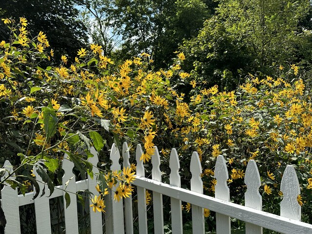 exterior details with fence