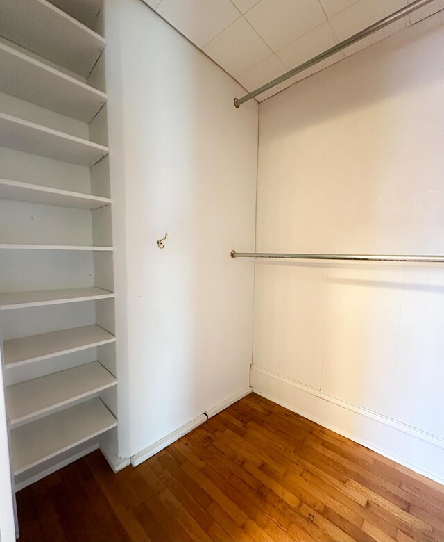 spacious closet with a drop ceiling and wood finished floors