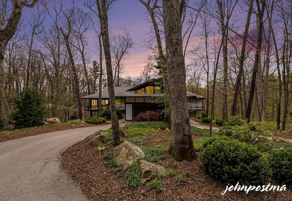 view of front of house featuring curved driveway