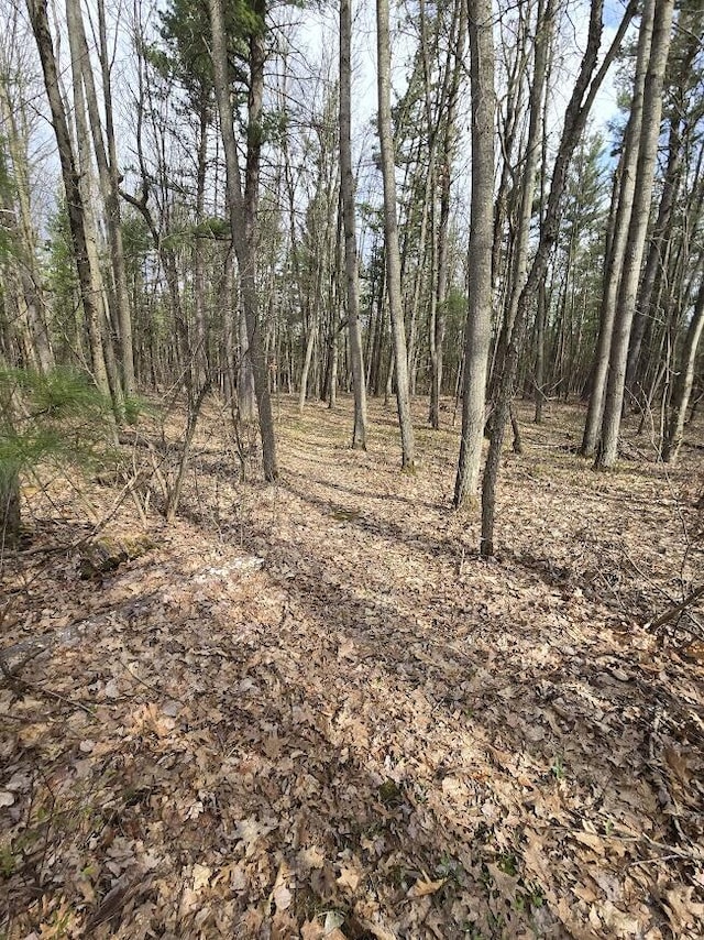 view of local wilderness