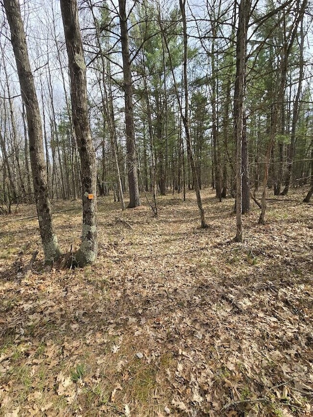 view of nature