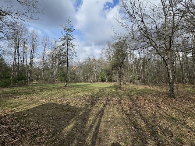 view of local wilderness featuring a wooded view
