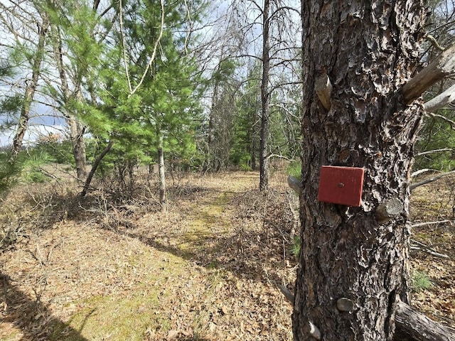 exterior space