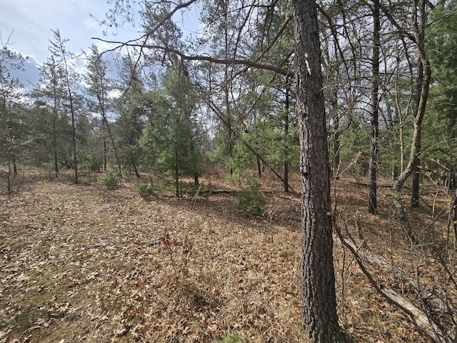 view of nature featuring a forest view