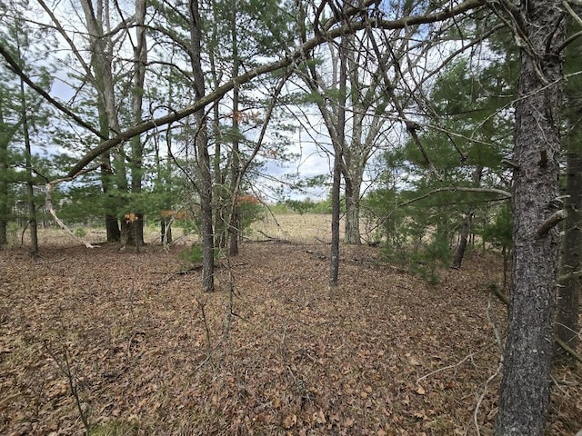 view of local wilderness
