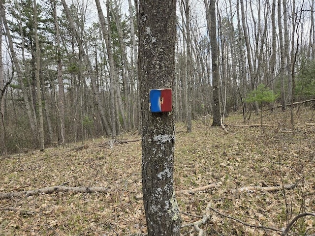 exterior details with a forest view