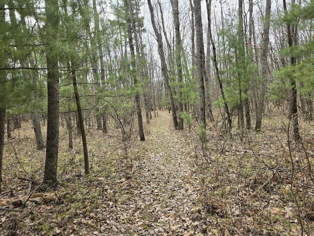 view of landscape featuring a forest view