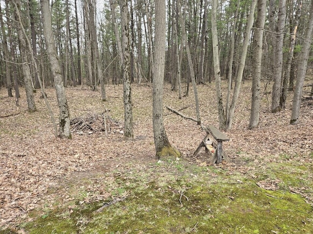 view of nature