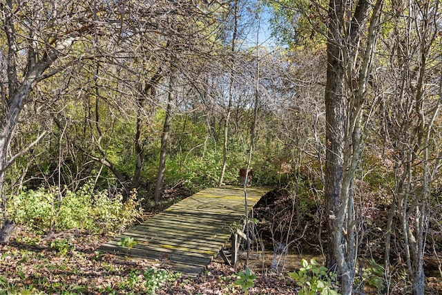 view of property's community featuring a view of trees