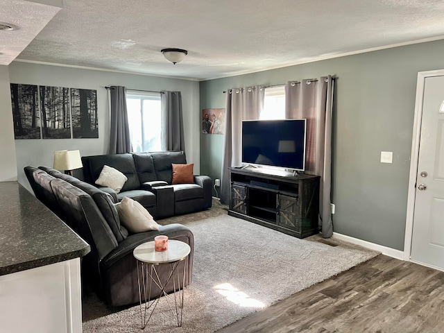 living area with crown molding, a textured ceiling, and wood finished floors