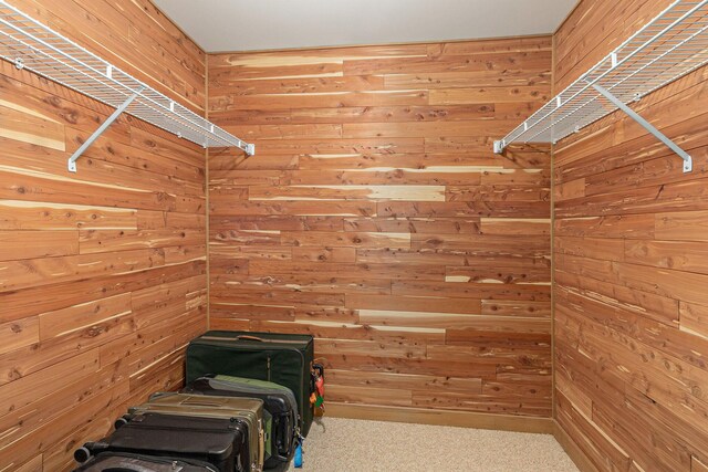 walk in closet featuring carpet