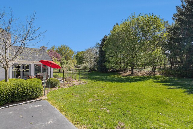 view of yard featuring a patio