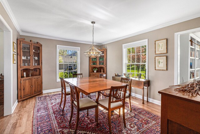 dining space with crown molding, a healthy amount of sunlight, and light wood finished floors