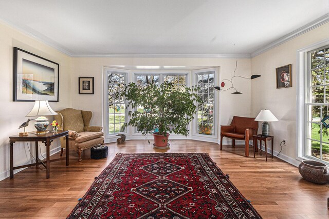 living area featuring baseboards, ornamental molding, wood finished floors, and a healthy amount of sunlight