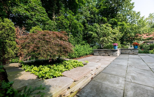 1614 Cambridge Rd, Ann Arbor, MI 48104 - surrounding community with a patio area