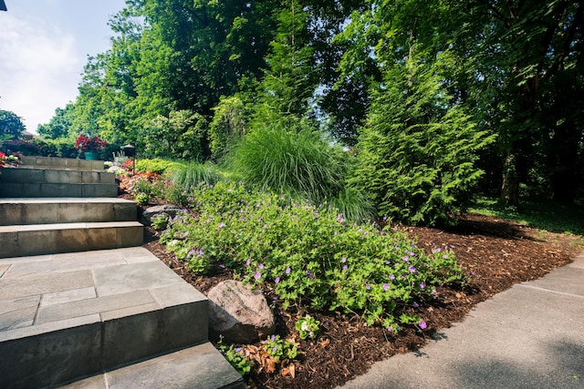 1614 Cambridge Rd, Ann Arbor, MI 48104 - view of yard