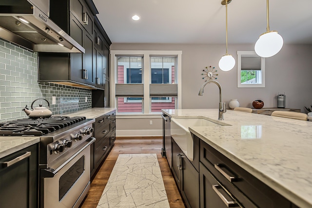 kitchen featuring dark wood-type flooring, ventilation hood, a sink, backsplash, and stainless steel appliances