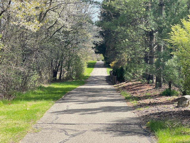 view of road featuring a forest view