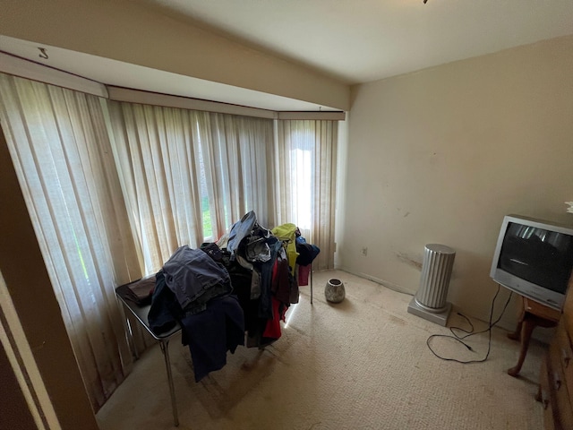 interior space featuring carpet