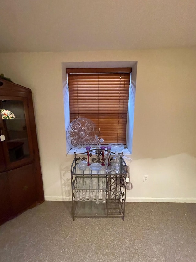 interior space featuring baseboards and carpet flooring