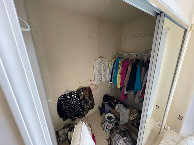 spacious closet with carpet