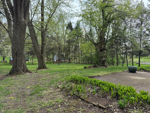 174 Knollwood Dr, Pinckney, MI 48169 - photo 28