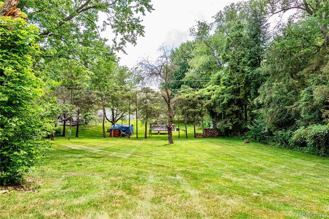 174 Knollwood Dr, Pinckney, MI 48169 - photo 29
