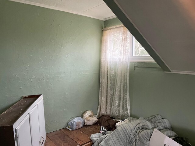 16206 Peters Farm Rd, Irons, MI 49644 - additional living space featuring a textured wall and wood finished floors