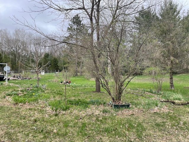 16206 Peters Farm Rd, Irons, MI 49644 - view of yard