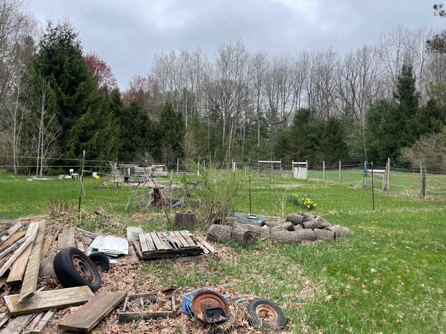 16206 Peters Farm Rd, Irons, MI 49644 - view of yard featuring a view of trees and fence