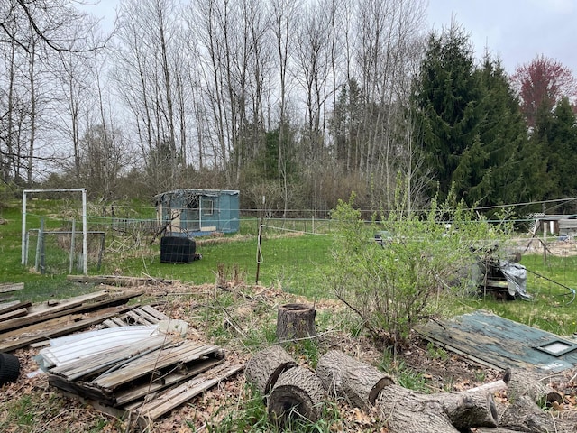 16206 Peters Farm Rd, Irons, MI 49644 - view of yard with fence