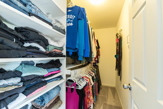 spacious closet featuring carpet
