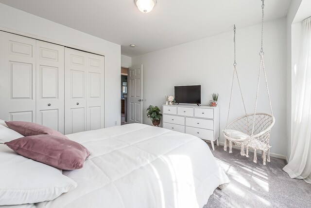 bedroom with carpet floors and a closet