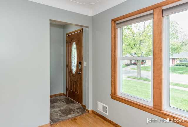 entryway featuring stone finish flooring, baseboards, visible vents, and plenty of natural light