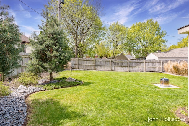 view of yard with a fenced backyard